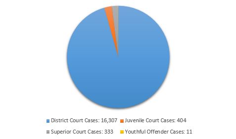 Pie Chart of Data By Case